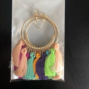 Rainbow tassel earrings